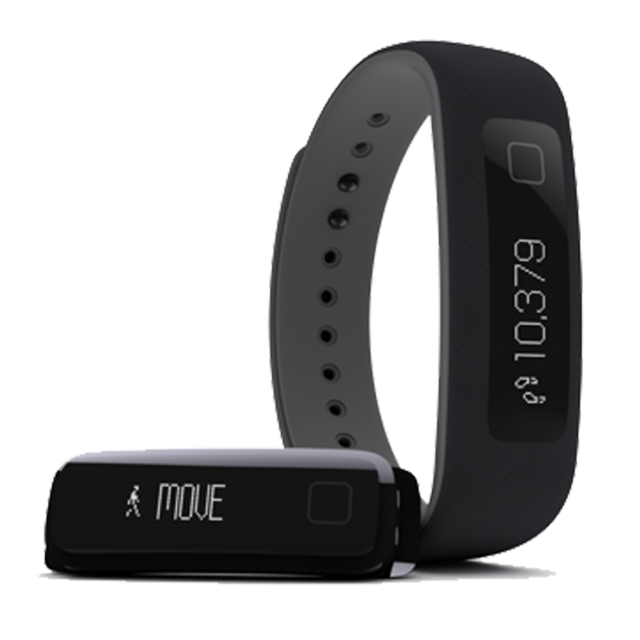 Pulsera conectada iFit Vue Black